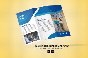 10 Exclusive Brochure Templates Bundle