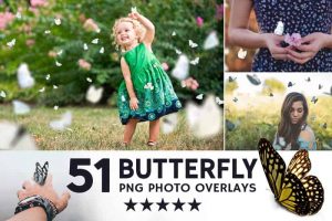 009. Butterflies