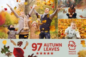 016. 97 Autumn Leaves Photo overlays