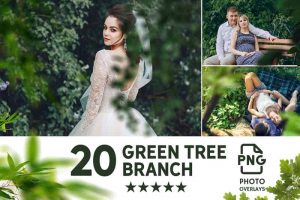 031. Green Tree Branch