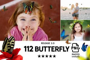 033. 112 Butterflies 2.0