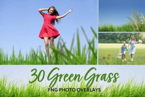 048-Green-grass
