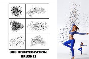 300 Disintegration Brushes