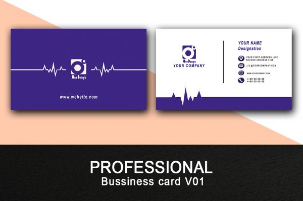 Professional Bussiness card V01