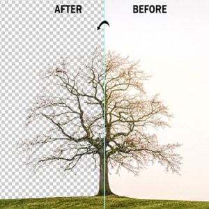 Any Background Remover Photoshop Action