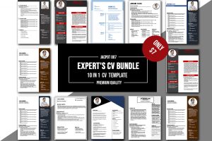 10 In 1 Expert's CV Bundle