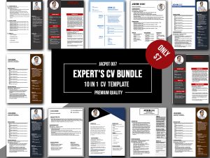10 In 1 Expert's CV Bundle