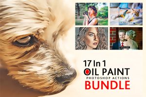17 In 1 Oil Paint Photoshop Actions Bundle