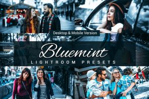 Bluemint Preview