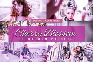 Cherry Blossom Preview