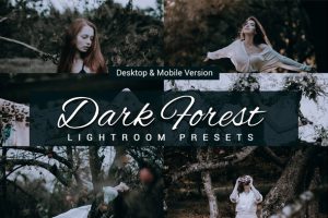 Dark Forest Preview