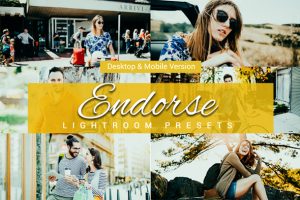 Like Endorse Preview