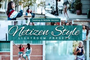 Netizen Style Preview