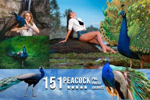 3000+Amazing Birds Photo Overlays Bundle
