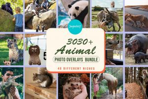 3030+ Animal Photo Overlays Bundle