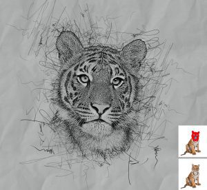 The 15 Best Pencil Drawing Effect Photoshop Actions Bundle