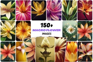 macro-flowers
