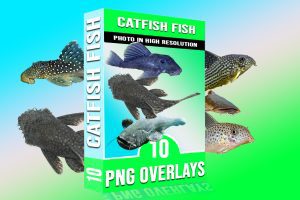 808 Various Sea Creatures & Fish Overlays PNG Bundle